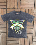 Nutmeg Boston Celtics Vintage Grey T Shirt Tee Hoodie, Sweatshirt | FlexRushtees.com