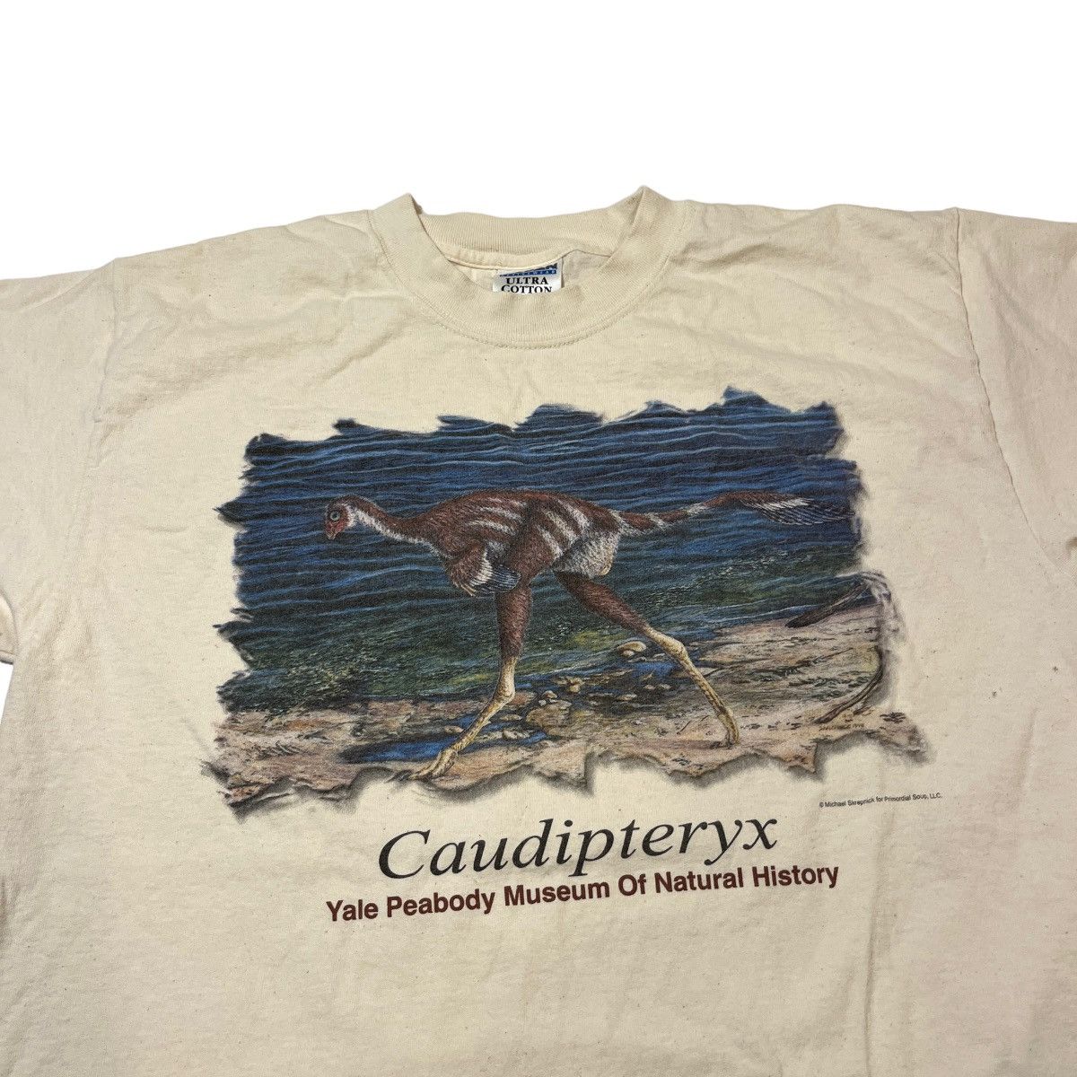 Vintage Y2k Dinosaur Caudipteryx Museum Tee Hoodie, Sweatshirt | FlexRushtees.com