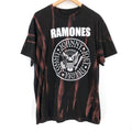 Band Tees Ramones Custom Bleached Distressed Punk Rock Band T Shirt Hoodie, Sweatshirt | FlexRushtees.com