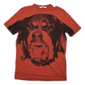 Ricardo Tisci Distressed Rottweiler Tee Hoodie, Sweatshirt | FlexRushtees.com