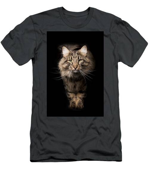 Beautiful Long-haired Cat T-Shirt