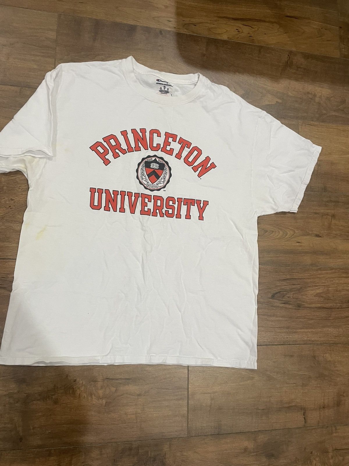 Champion Y2k Pricenton University Tee Hoodie, Sweatshirt | FlexRushtees.com