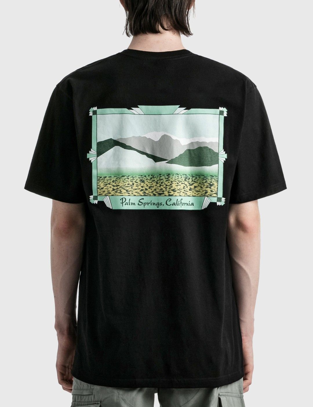 Other Stussy Palm Springs T Shirt Hoodie, Sweatshirt | FlexRushtees.com