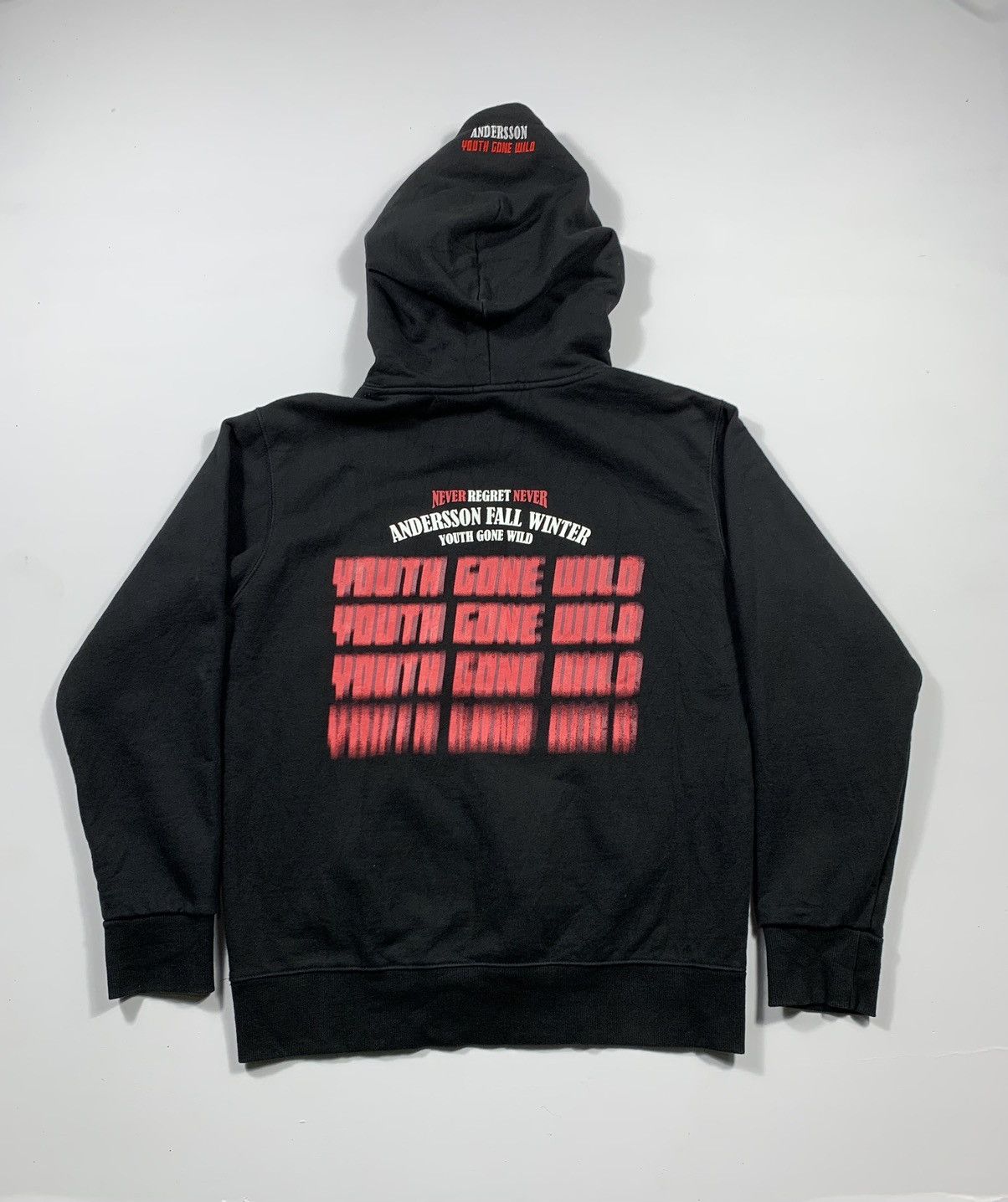 Vintage Andersson Bell Youth Gone Wild Hoodie Sweatshirt Fall Winter T-Shirts | FlexRushtees.com