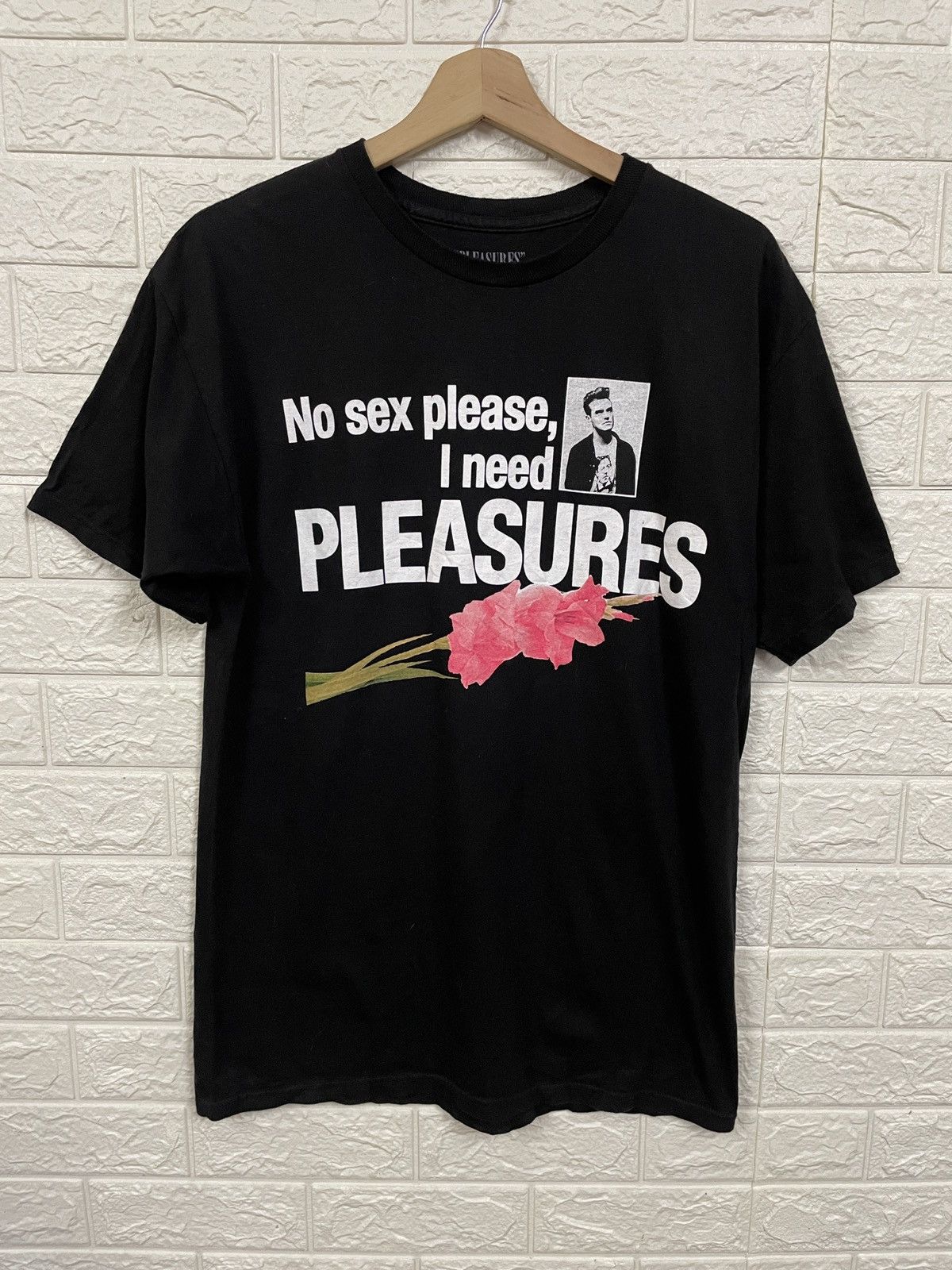 Smiths Pleasures The Smiths No Sex Please I Need Pleasures T-Shirts, Hoodie, Sweatshirt | FlexRushtees.com