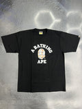 Bape Bleached Check College T Shirt Hoodie, Sweatshirt | FlexRushtees.com