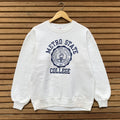 Rare Vintage 1990s Jerzees Metropolitan State University