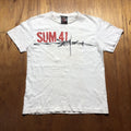 Vintage Sum 41 Band Tee Hoodie, Sweatshirt | FlexRushtees.com