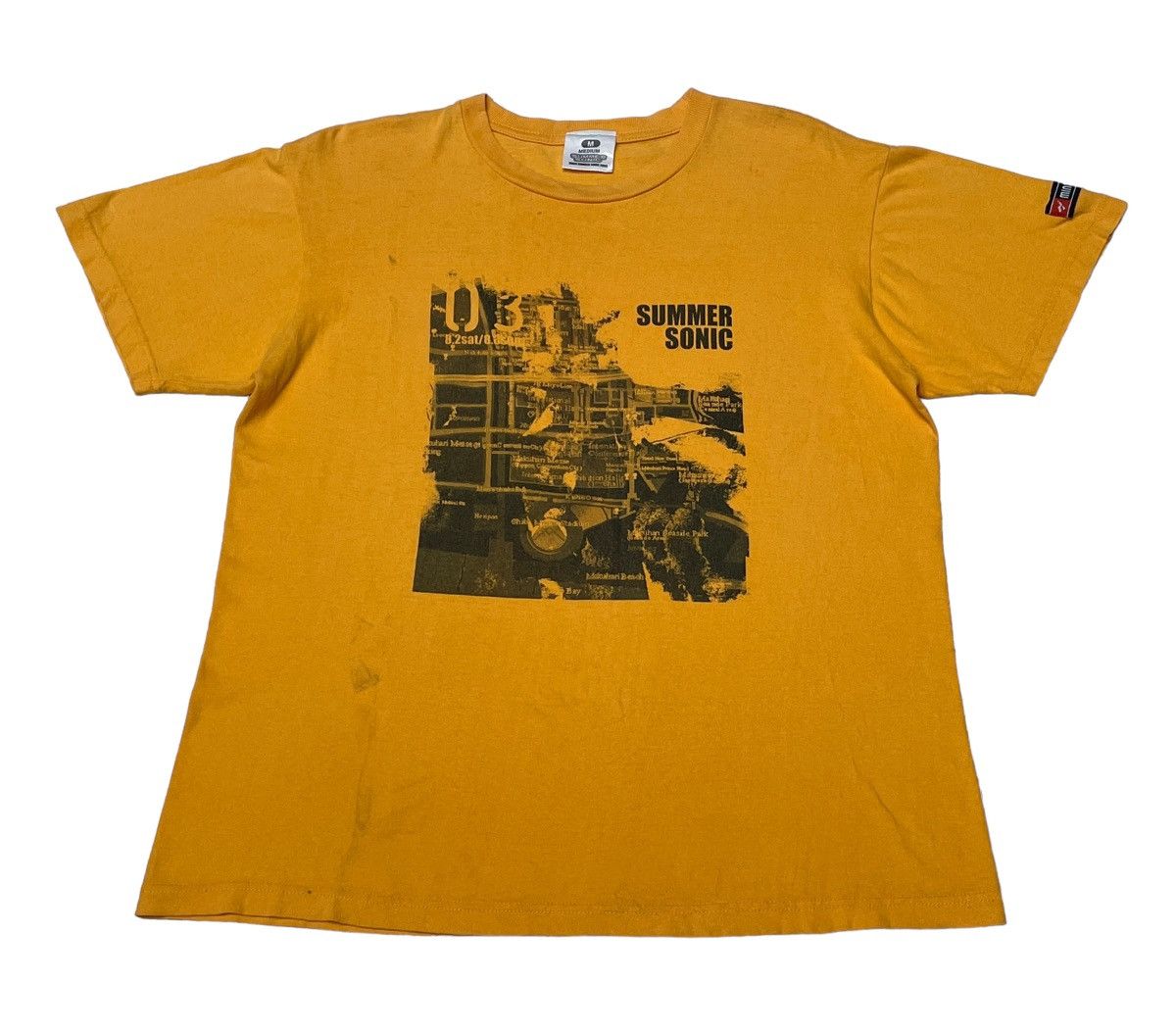 Rap Tees X Vintage Vintage Band Summer Sonic T Shirt 2000s Hoodie, Sweatshirt | FlexRushtees.com