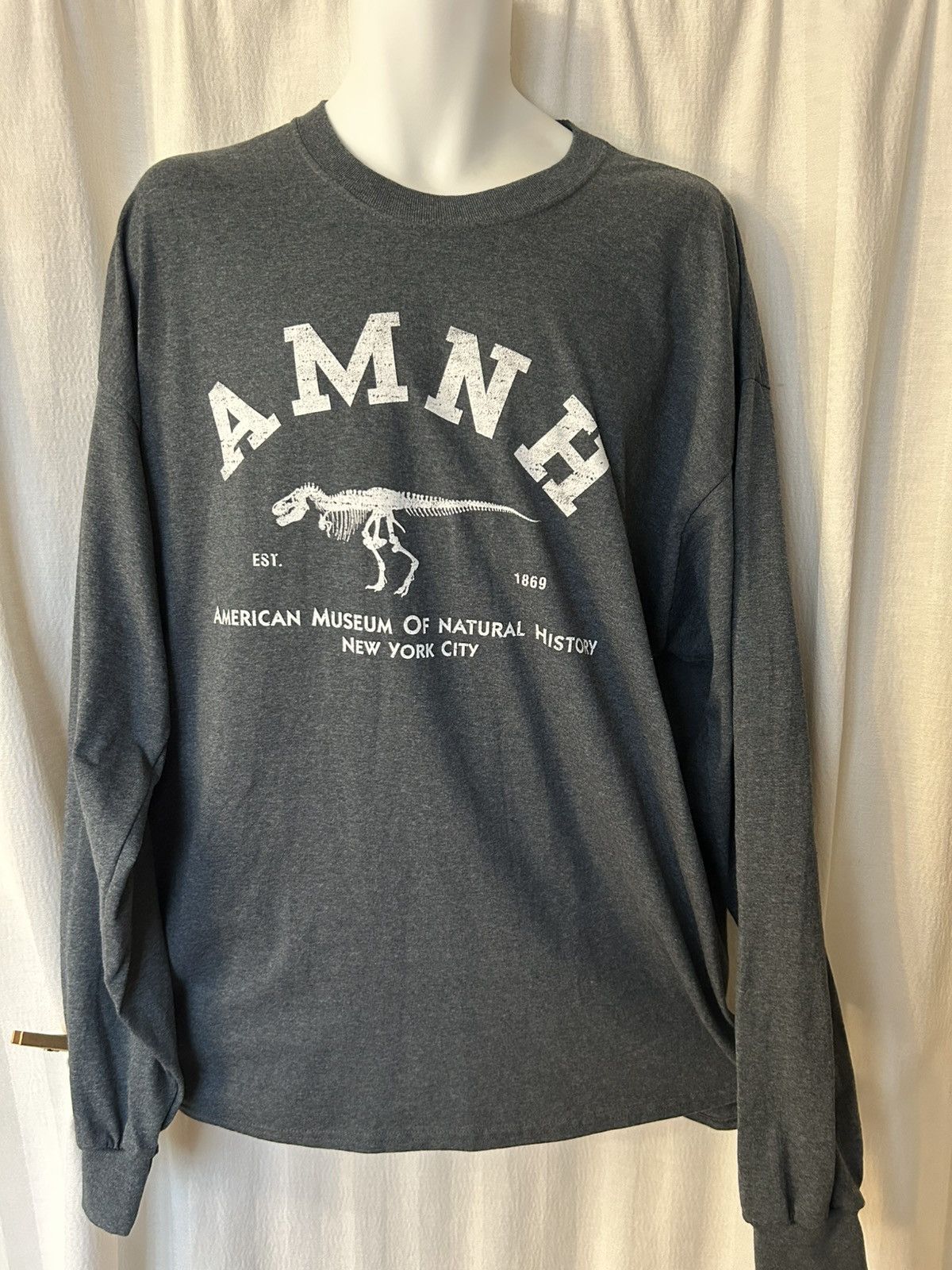 Other Tee American Museum Natural History New York Xxl Hoodie, Sweatshirt | FlexRushtees.com