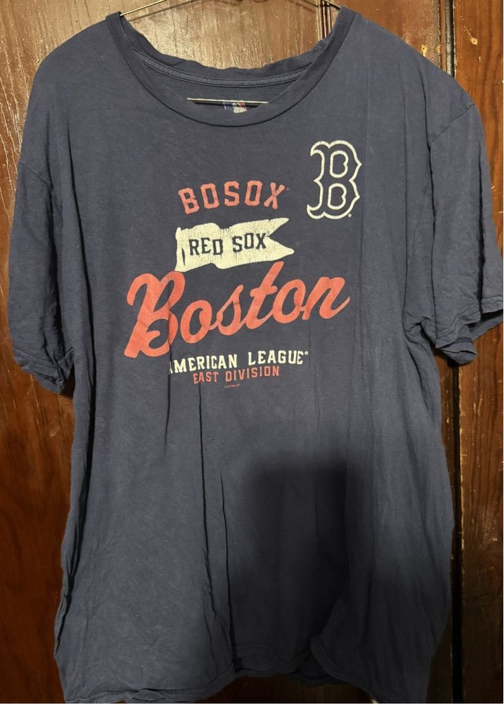 The Unbranded Brand Boston Red Sox Short Sleeve Tee Men S L Blue Mlb