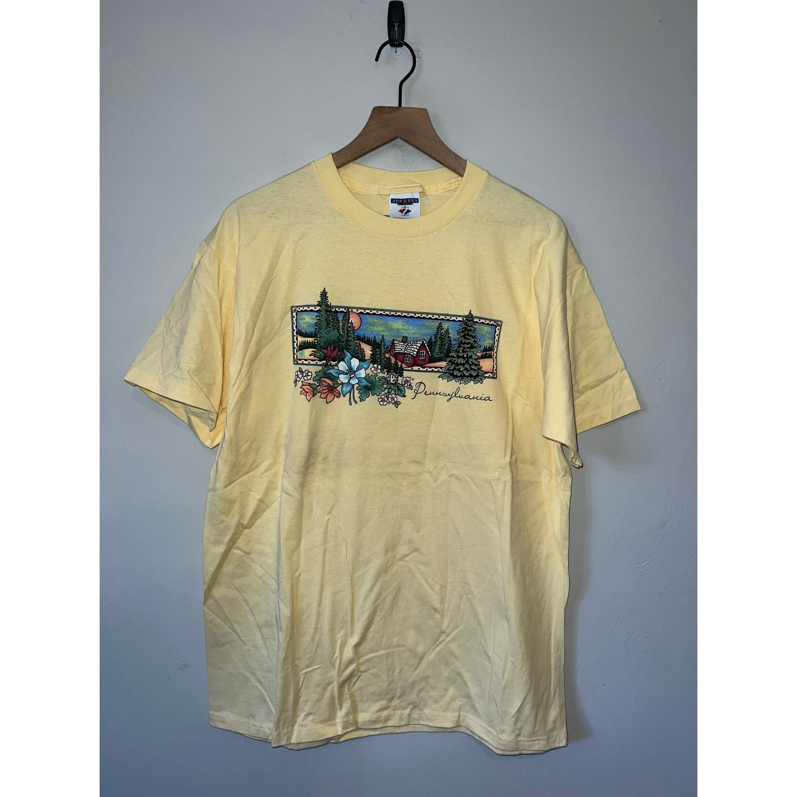 Jerzees Vintage Pennsylvania Shirt Forest Mountain Tee Vtg 90s Large