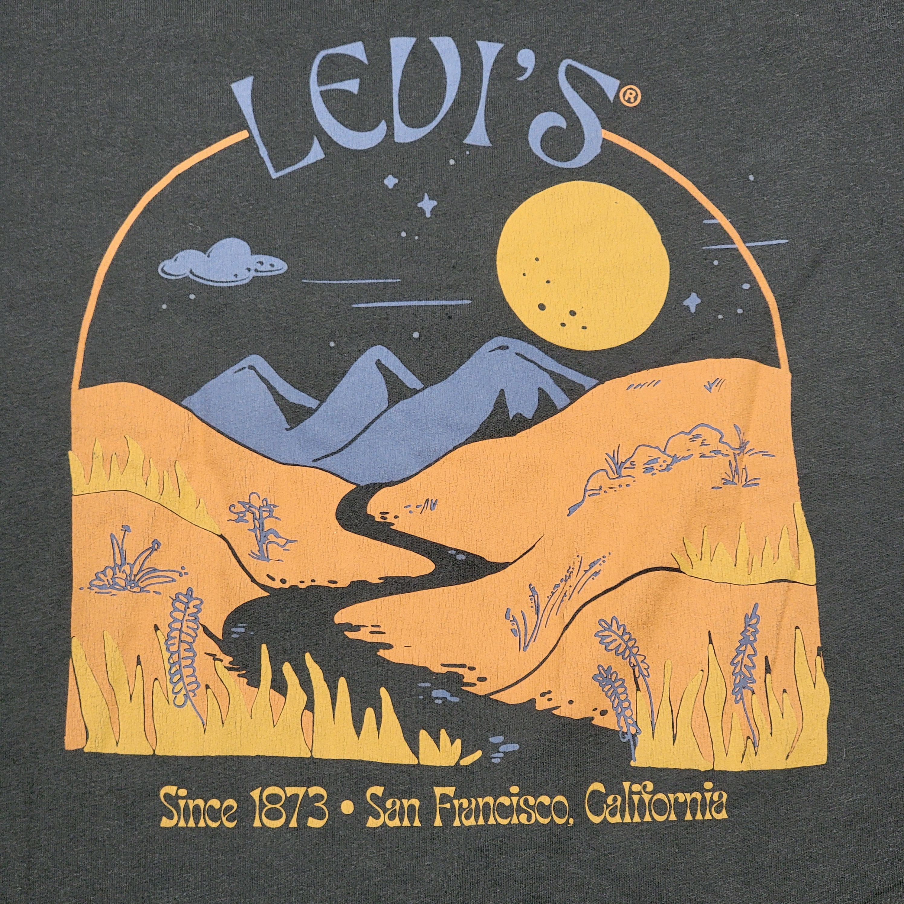 S Levi S Graphic Ss Tee Mountains Valley Size Medium