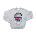 Vintage Boston Red Sox World Champions Jumper 2013 Grey