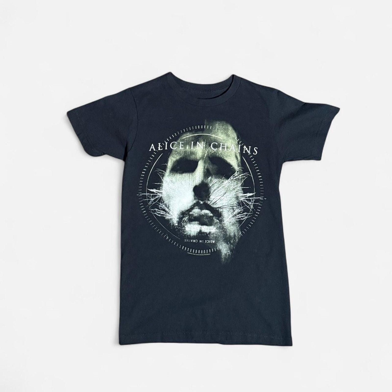 Other Alice In Chains Black Tee Hoodie, Sweatshirt | FlexRushtees.com