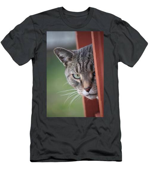 Don't Mess With Gilbert T-Shirt