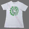 Anvil Blink 182 Slime Logo Band T Shirt Hoodie, Sweatshirt | FlexRushtees.com