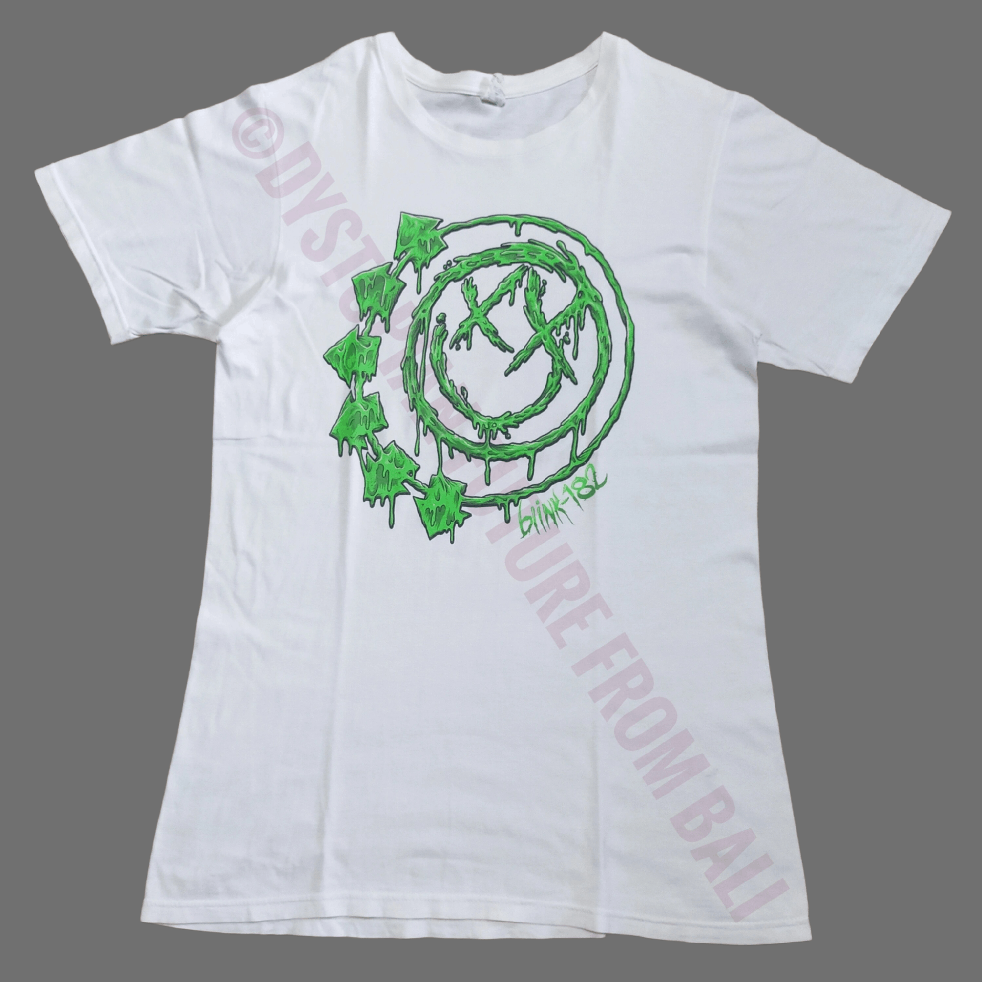 Anvil Blink 182 Slime Logo Band T Shirt Hoodie, Sweatshirt | FlexRushtees.com