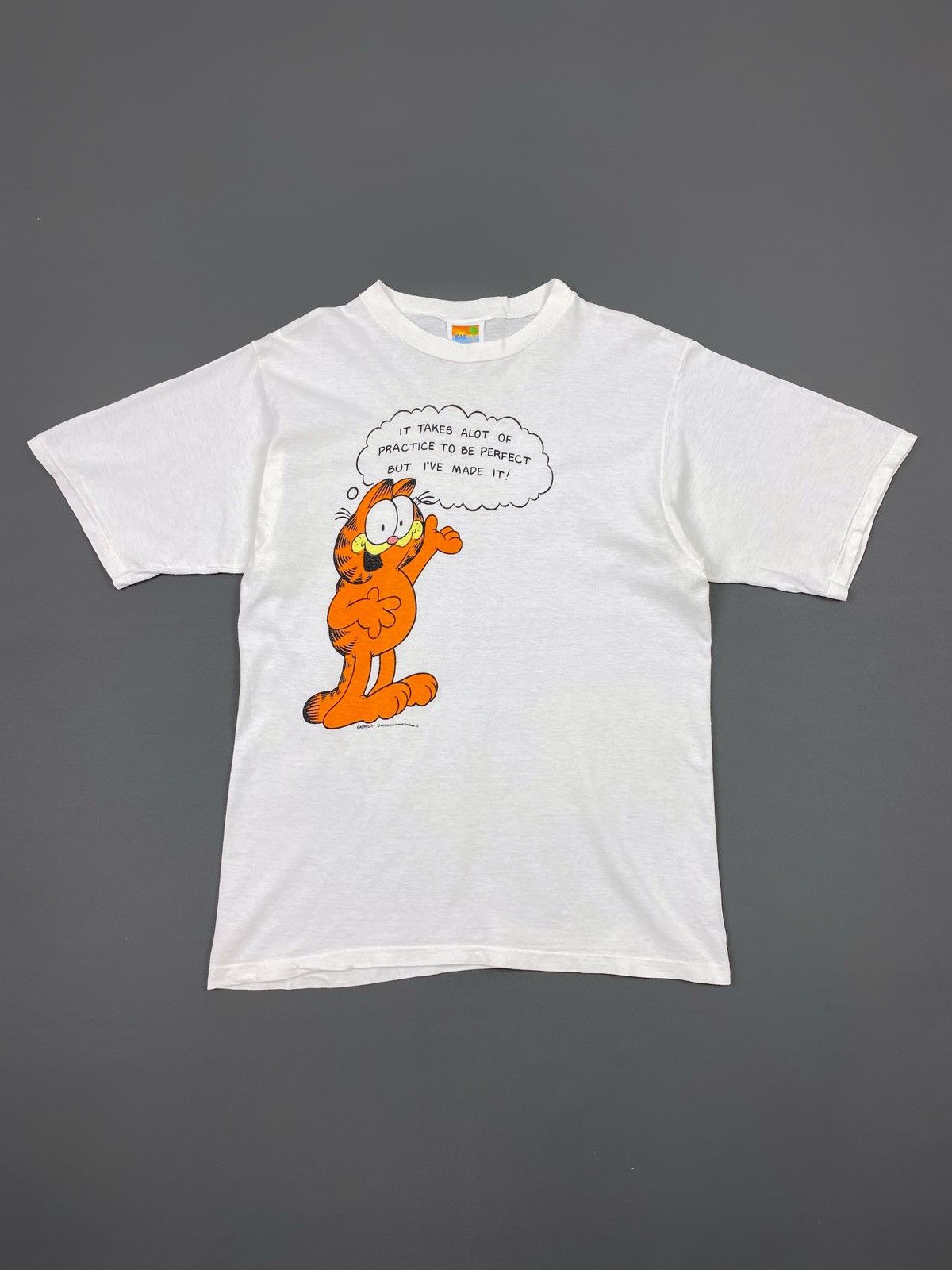 70s 80s Vintage Garfield The Cat Humor Quote Graphic Tee Hoodie, Sweatshirt | FlexRushtees.com