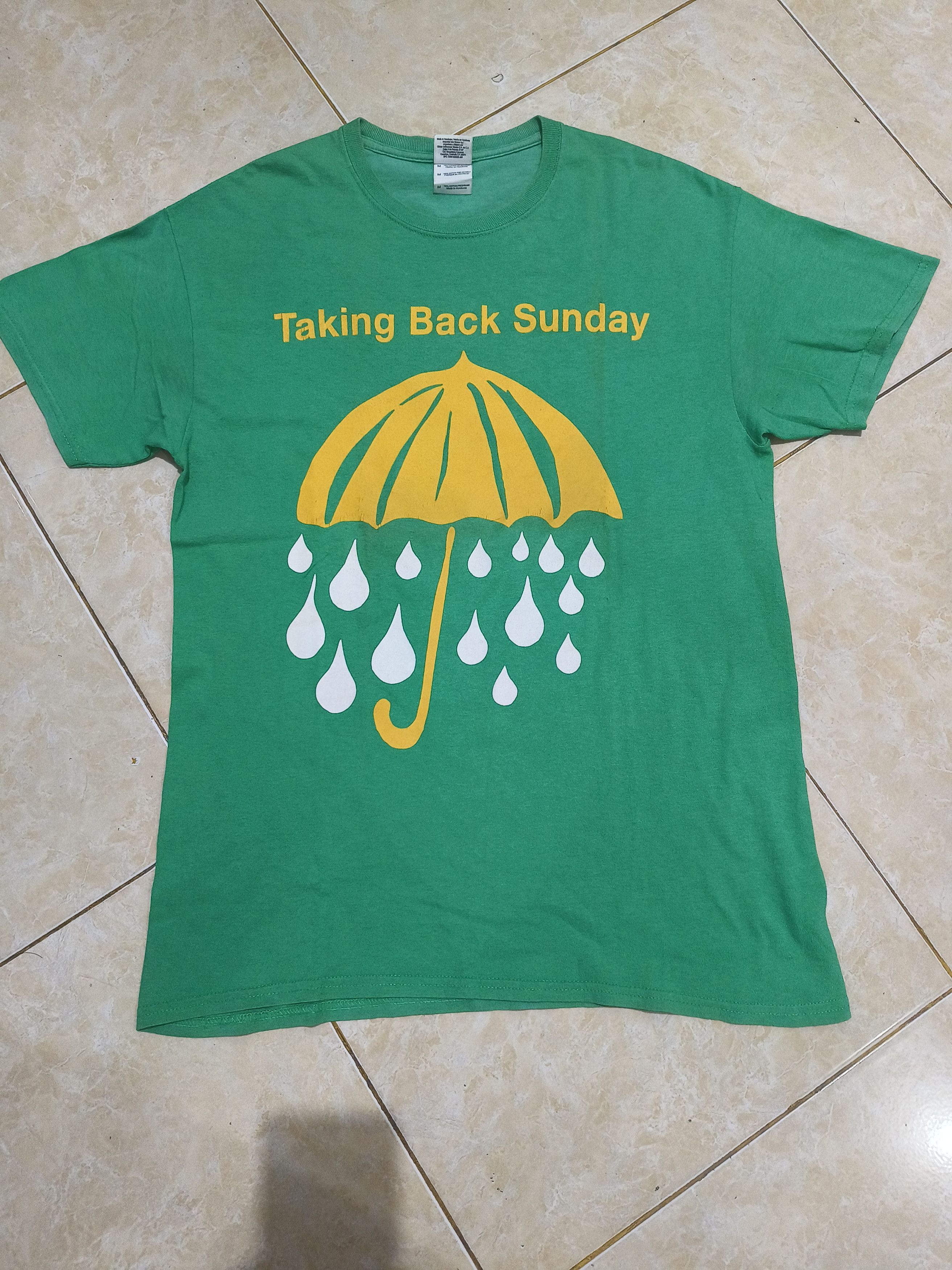 Band Tees Taking Back Sunday Sz M Silverstein Panic At The Disco Hoodie, Sweatshirt | FlexRushtees.com