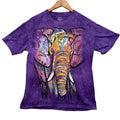 Mountain The Mountain T Shirt Memphis Zoo 2014 Tie Dye Elephant S