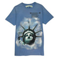 White Off White Liberty Tee Blue Hoodie, Sweatshirt | FlexRushtees.com