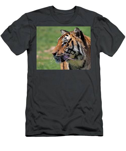 Ezekial's Stare T-Shirt