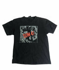 Band Tees The Sum41 Punkrock Style T Shirt Hoodie, Sweatshirt | FlexRushtees.com
