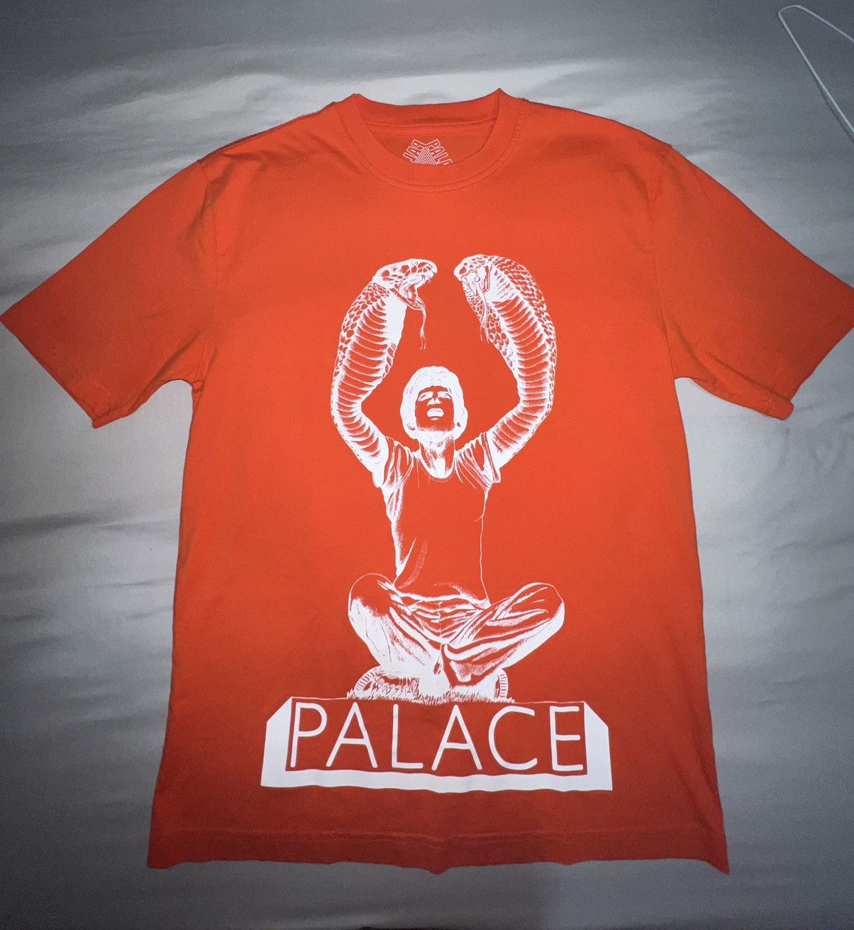 Palace Snakey T Shirt Hoodie, Sweatshirt | FlexRushtees.com