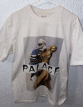 Palace Camel Tee Hoodie, Sweatshirt | FlexRushtees.com