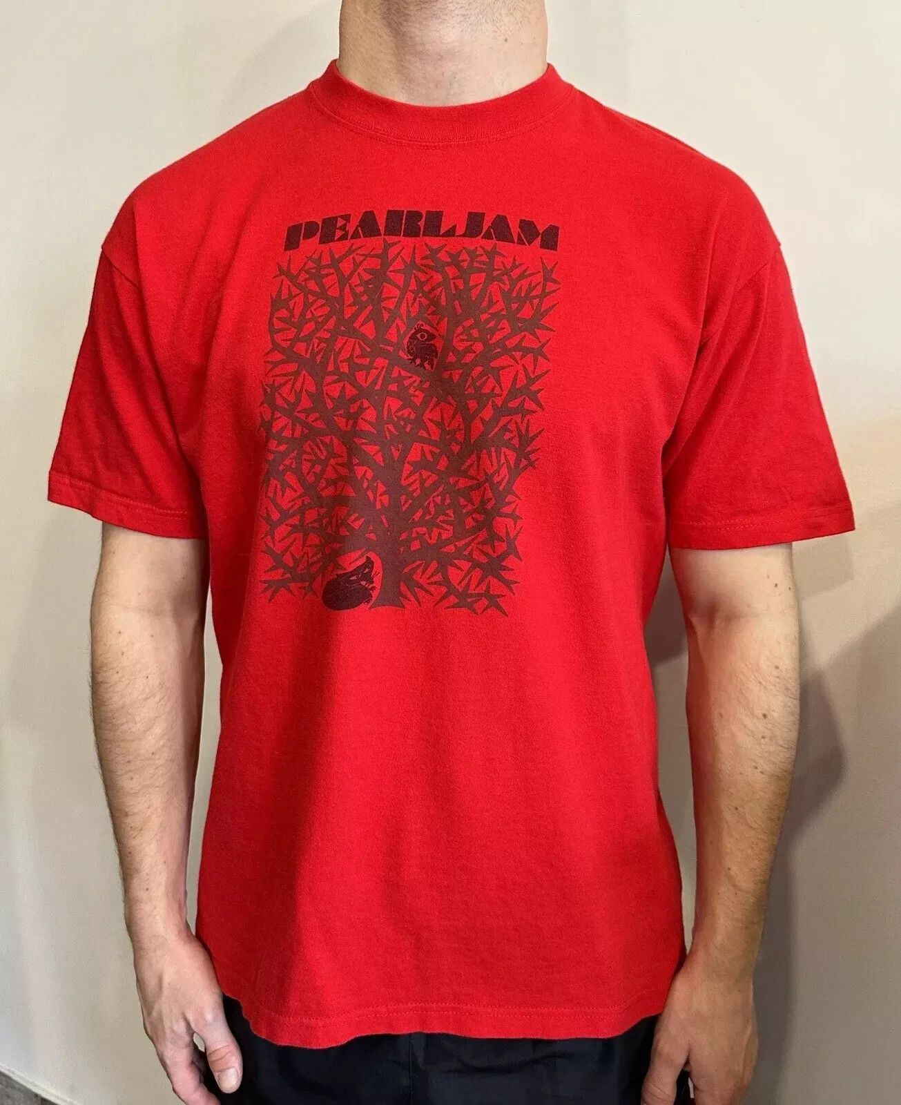 Vintage 2000s Band Pearl Jam Shirt Tee Hoodie, Sweatshirt | FlexRushtees.com