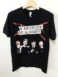 Band Tees 5 Second Of Summer Tee Hoodie, Sweatshirt | FlexRushtees.com