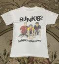 Vintage Vtg Blink 182 Band Tees Hoodie, Sweatshirt | FlexRushtees.com