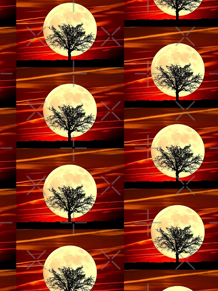 Contemporary Tree Full Moon Red Sky Decor Art A484 by byNicol