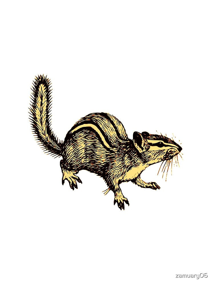 park squirrel by zamuary06