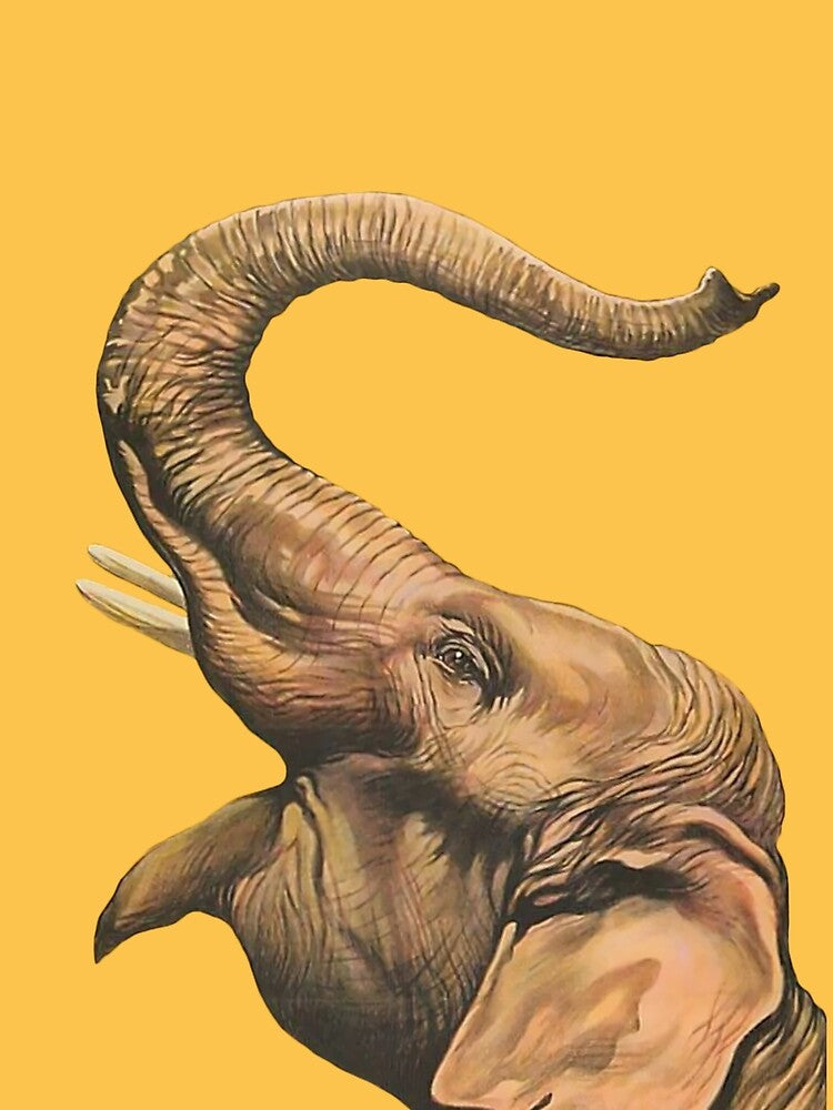 Circus Series Roaring Elephant by allovervintage