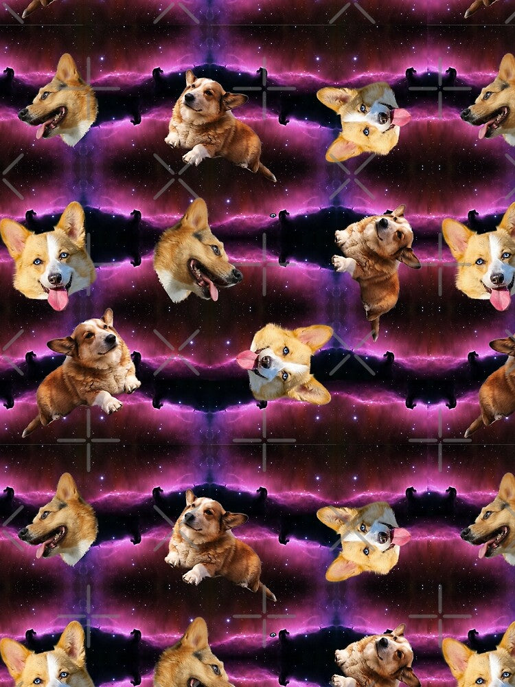 space corgi by B0red
