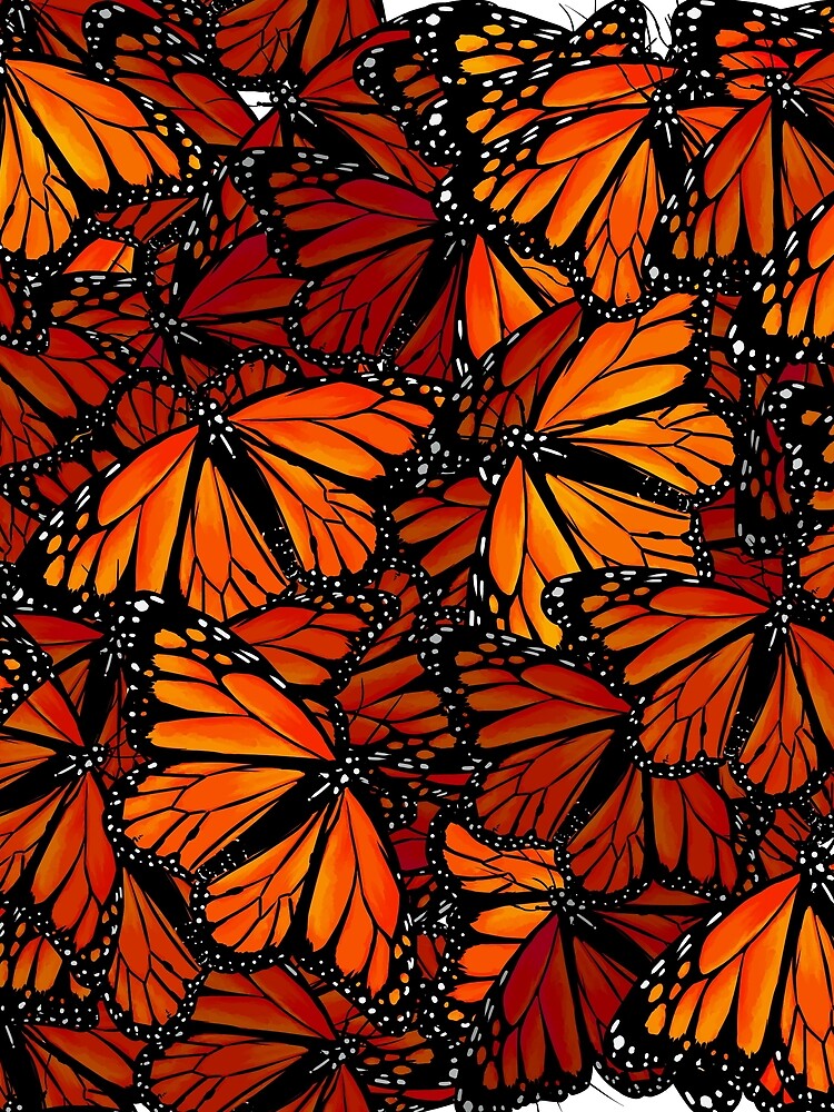 Schmetterlinge - Butterflies by ruhefuchs