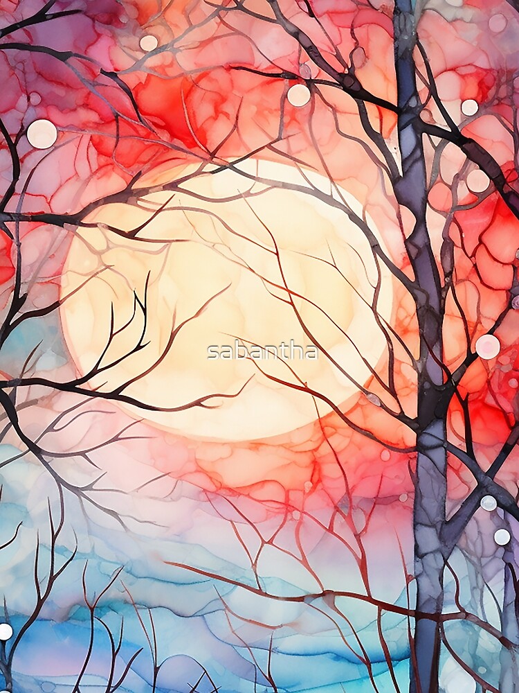 Colendra - Winter Sun (3/4) by sabantha