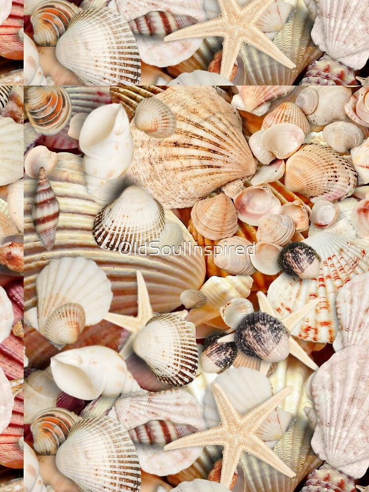 Seashells Collection by OldSoulInspired