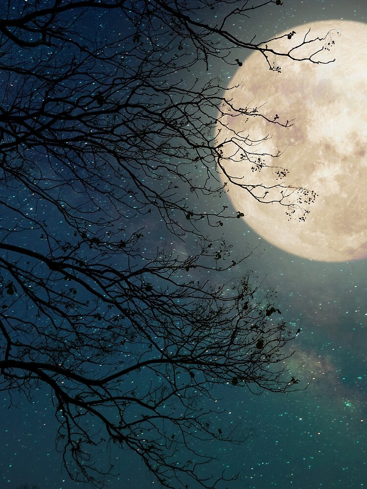 Full Moon Night Sky by JTS STORE