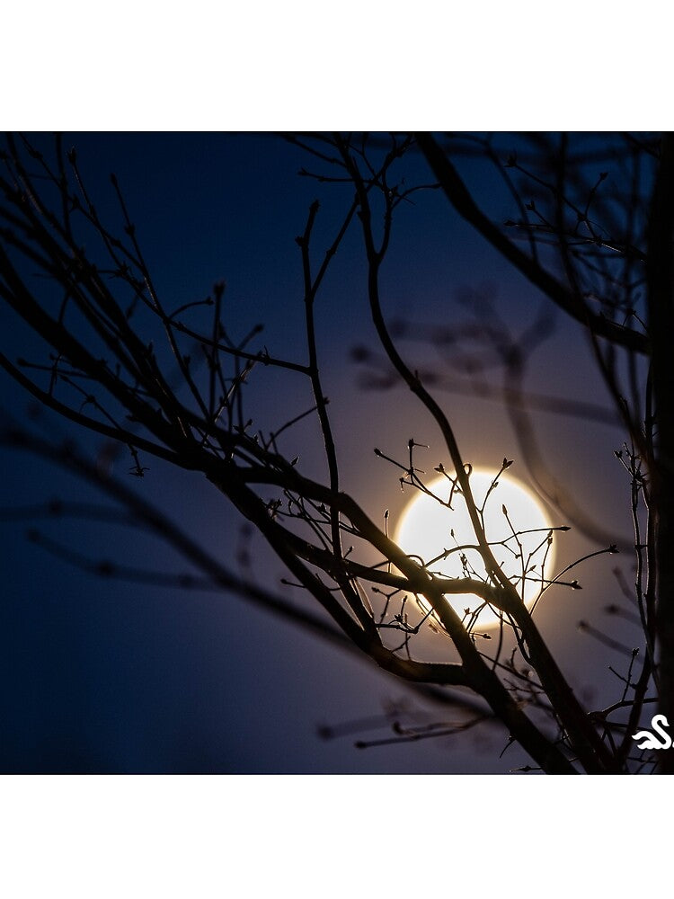 Glittering Full Moon by Bandana Ghosh