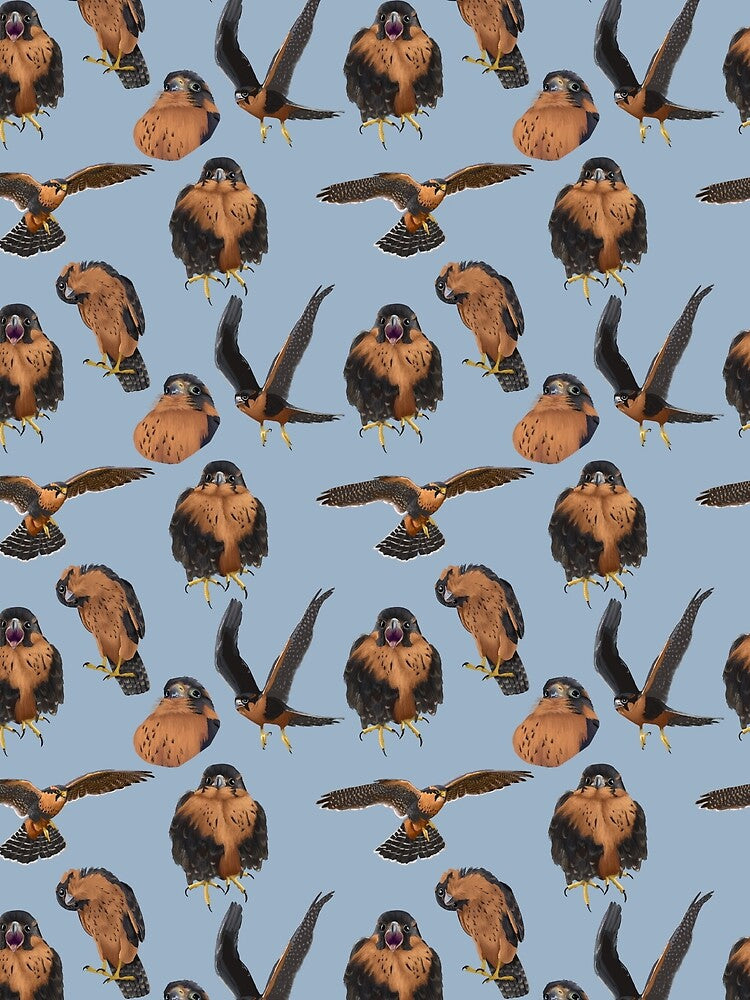 Aplomado Falcon All-over Print by Kindahawkward