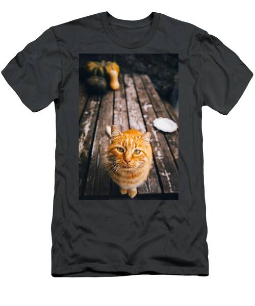 Portrait Of A Cute Orange Cat T-Shirt