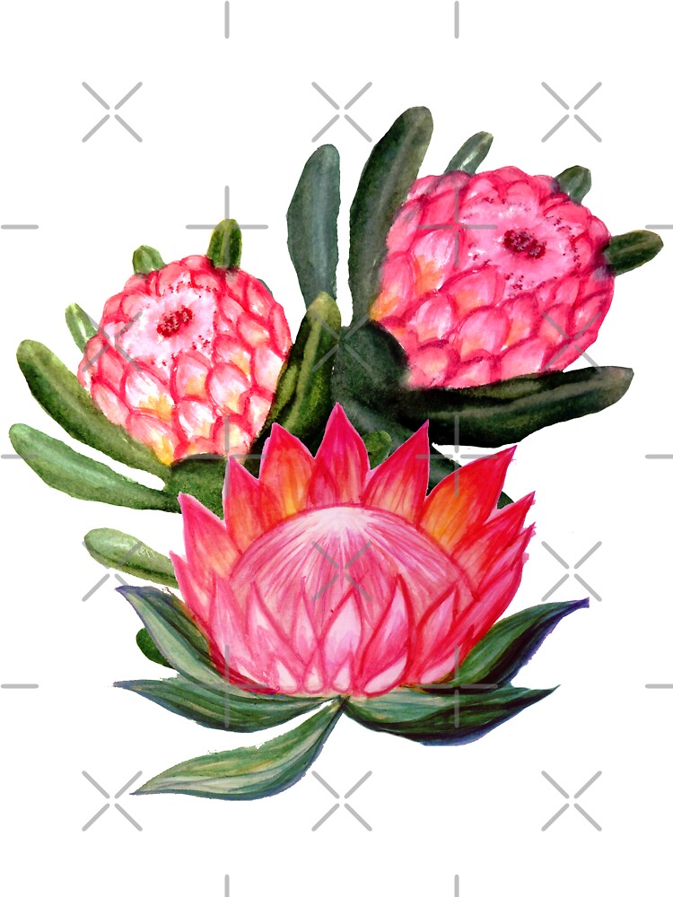 Protea flower watercolor - all over print by MagentaRose