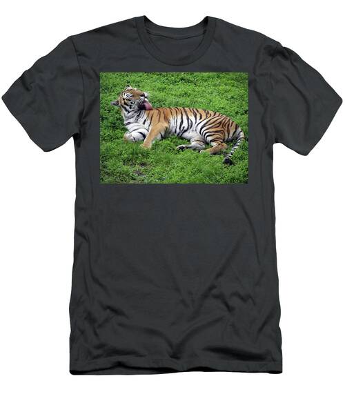 Tiger Lick T-Shirt
